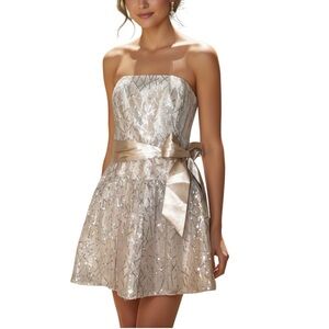 Vintage Jessica McClintock Dress Prom Size 7 Sparkle Whimsical Fairy Kawaii